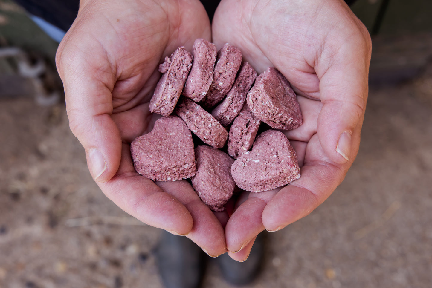 Oat Based Horsey Treats